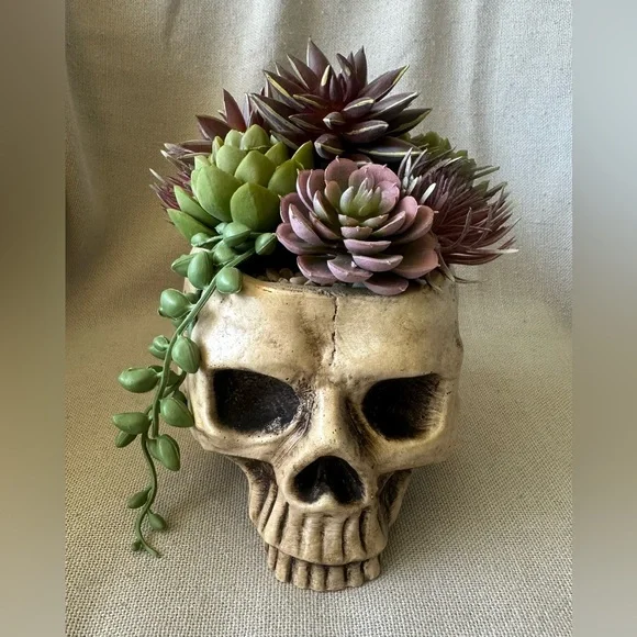 Halloween Succulent Skull Spooky Planter - Picture 2 of 8